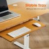 Sweetcrispy Electric Standing Desk with Keyboard Tray Large Ergonomic Computer Desk Home Office Desk,55 x 24 Inches Natural