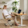 Sweetcrispy Electric Standing Desk with Keyboard Tray Large Ergonomic Computer Desk Home Office Desk,55 x 24 Inches Natural