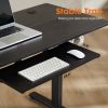 Sweetcrispy Electric Standing Desk with Keyboard Tray Large Ergonomic Computer Desk Home Office Desk,48 x 24 Inches Black